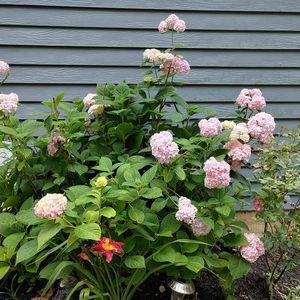 Meet your Posher, Lori